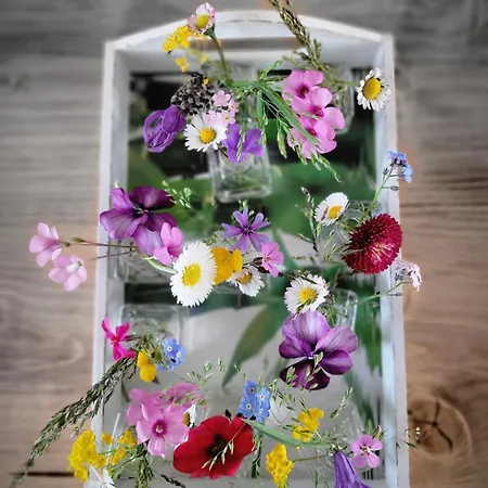 Fischerstüble - Adults Only 3*