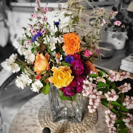 Fischerstüble - Adults Only Hagnau